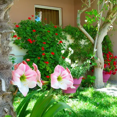 Hotel Sun Rise Eretria (Evia)