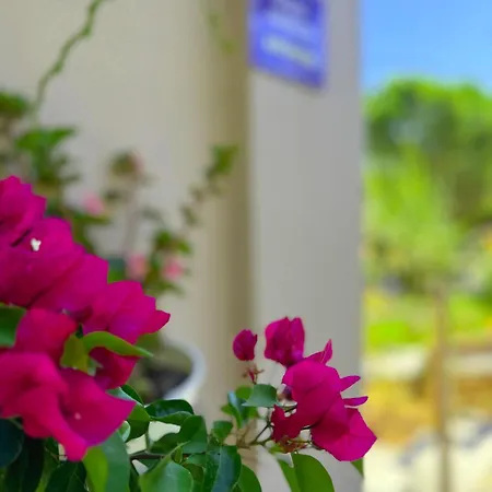 Sun Rise 3* Erétria