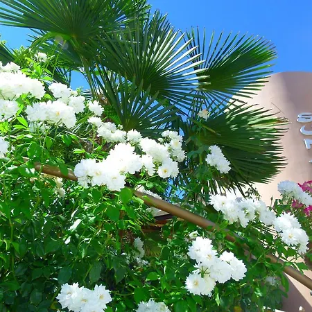 Sun Rise فندق 3*